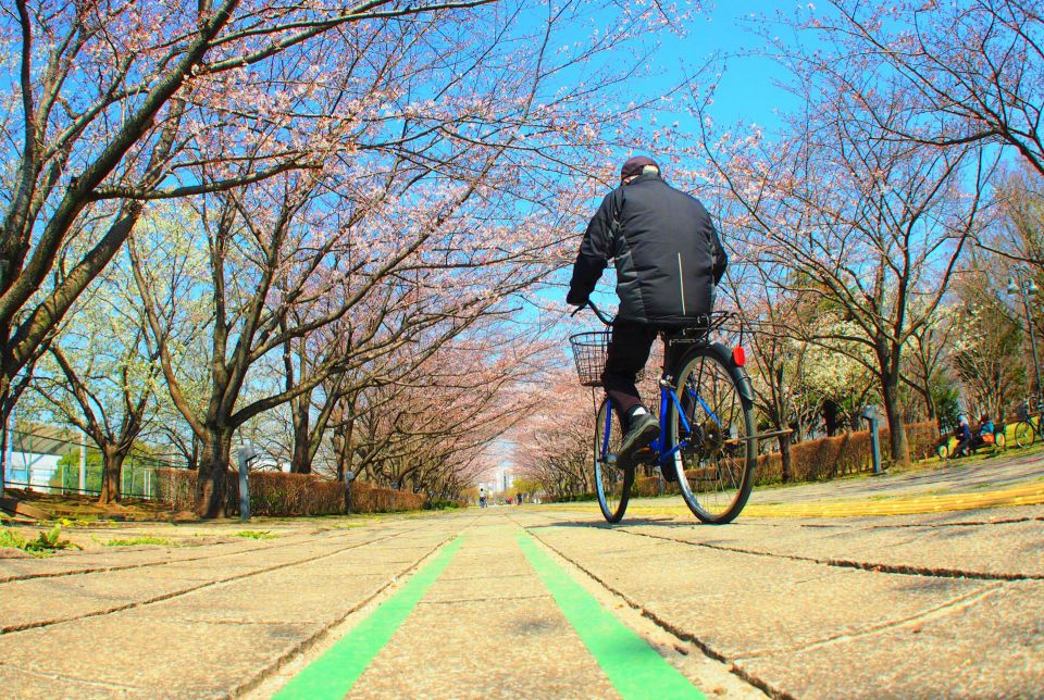 札幌北海道で進化する包茎手術と都市型医療の多様なサービス最前線